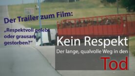 Kein Respekt – Der lange, qualvolle Weg in den Tod (Pferdefleisch aus Argentinien)