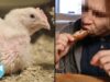 Eating #chickenwings Is Creepier Than You Thought