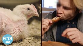 Eating #chickenwings Is Creepier Than You Thought