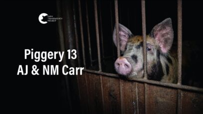 AJ & NM Carr Partnership Piggery, Bagshot North | Vic Pigs 2025