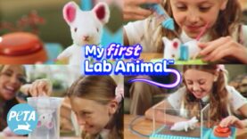 Gear Up and Get Your ‘Science’ On With PETA’s ‘My First Lab Animal’ Kit