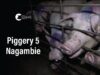 Nagambie Breeder, Bailieston | Vic Pigs 2025