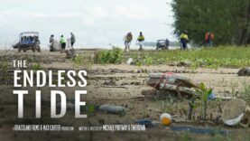 The Endless Tide – A Documentary by Grassland Films (2024) | Sea Shepherd Australia